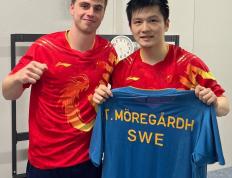 IM体育网页版登录入口-韩国队完胜英格兰队，樊振东刷新纪录