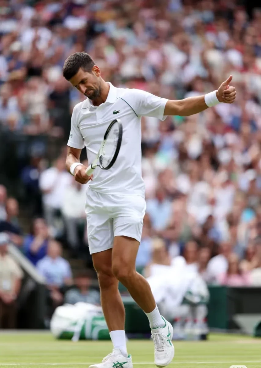 IM体育数据分析平台-世界网球队翻盘德国网球队，德约科维奇绝境逆转的简单介绍