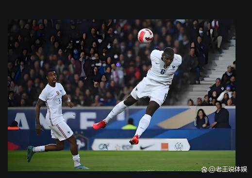 IM体育官方网站-葡萄牙不敌匈牙利，小组出线形势岌岌可危的简单介绍