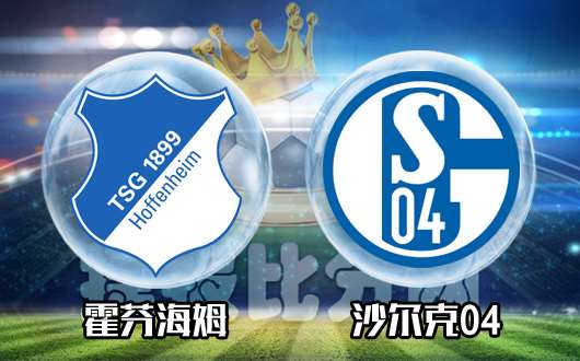 IM体育动画直播通道-沙尔克04连续颓势，降级风险加大