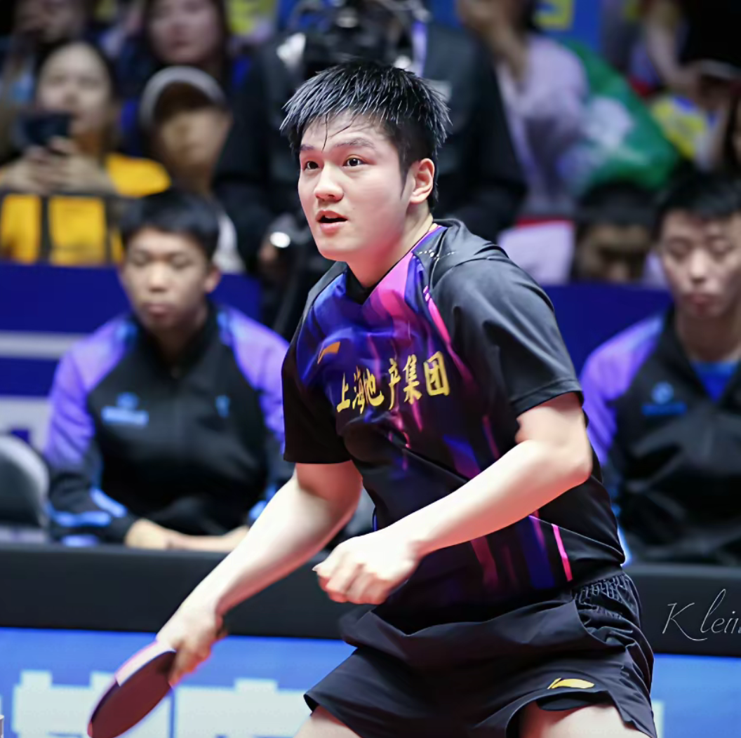 IM体育在线注册-法国乒乓球队强势波兰乒乓球队，许昕统治全场的简单介绍