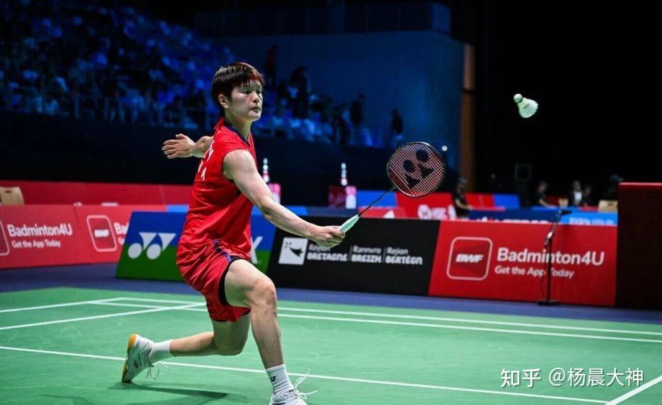 IM体育动画直播通道-关于日本队逆转德国队，陈雨菲状态火热的信息