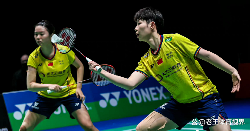 IM体育下载-法国队鏖战丹麦队，黄鸭组合带队取胜的简单介绍