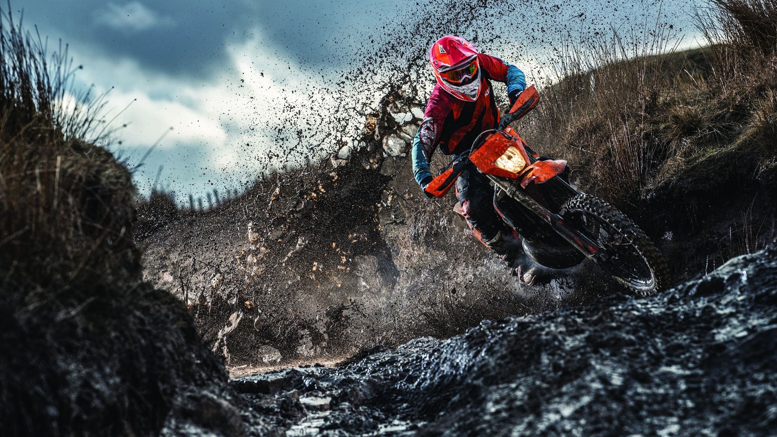 IM体育在线注册-马刺冲垮奇才，福克斯成为关键先生