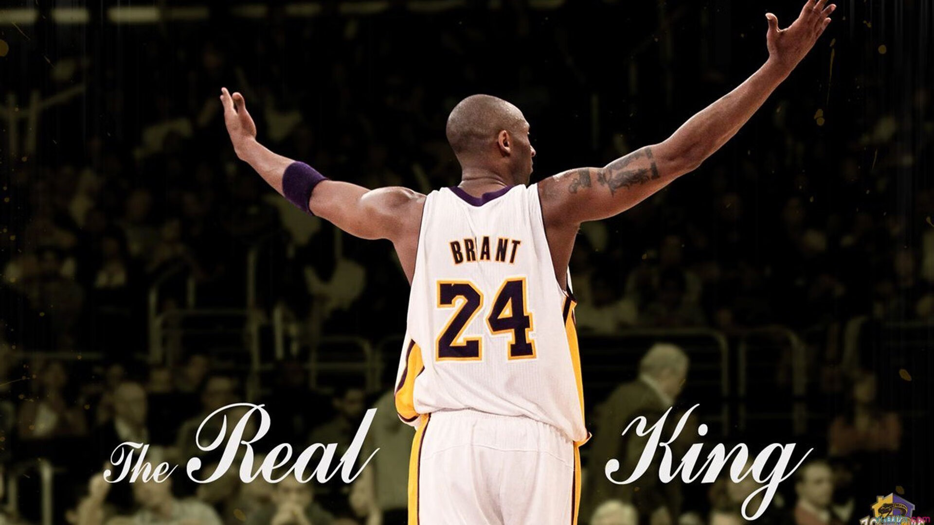 IM体育官网-从法网翻盘到戴维斯杯救赎，兹维列夫如何用坚韧惊艳四座